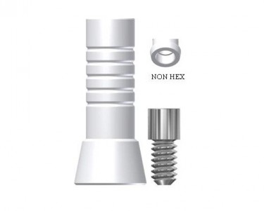 Titan Design TG Hex Abutment Plastic Sleeve (Non Hex) with Ti. screw