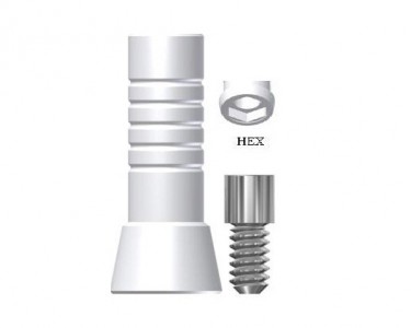 Titan TG Hex Abut Plastic Abutment Hex with Ti. Screw